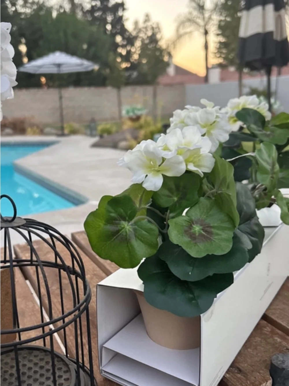 Studio McGee White and Green Faux Geranium Trio in Planters